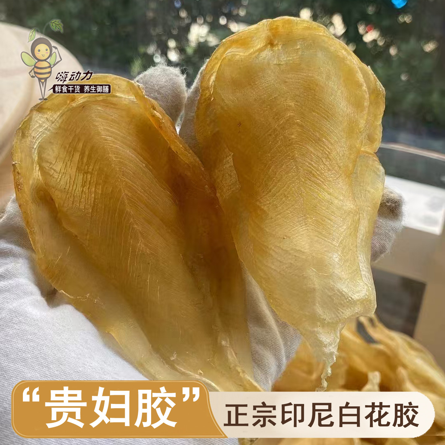 嗨动力印尼白花胶公肚贵妇胶养颜鱼鳔正宗野生大岛货鱼胶干货正品