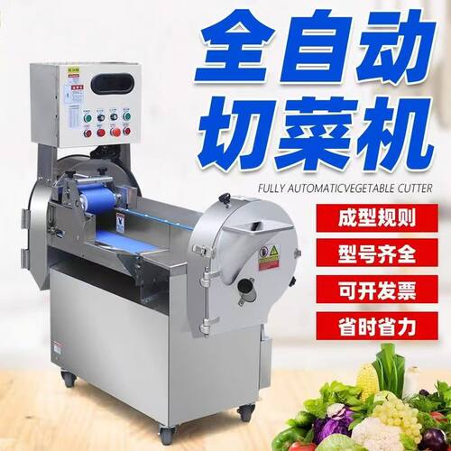 商用801双头切菜机土豆萝卜茄子切片切丝机豆角韭菜蒜薹切段机