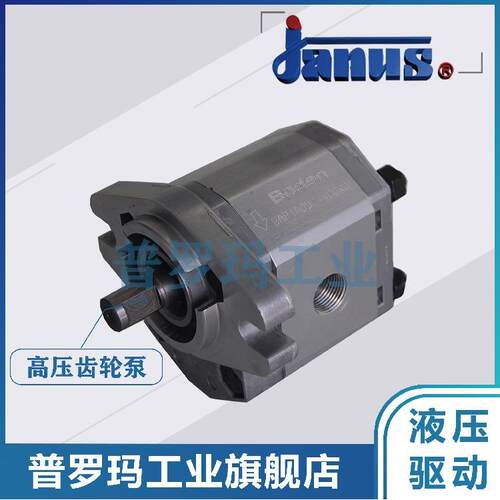 台湾登胜JANUS齿轮油泵BAP2.5A0-D-10/12.5/14/16/18/20/23/25/36