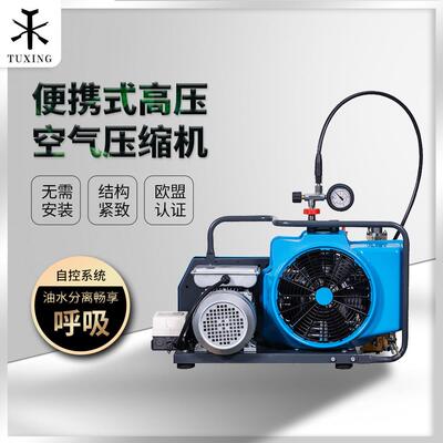 消防正压式空气压缩机高压打气机30mpa潜水呼吸电动充气泵4500psi
