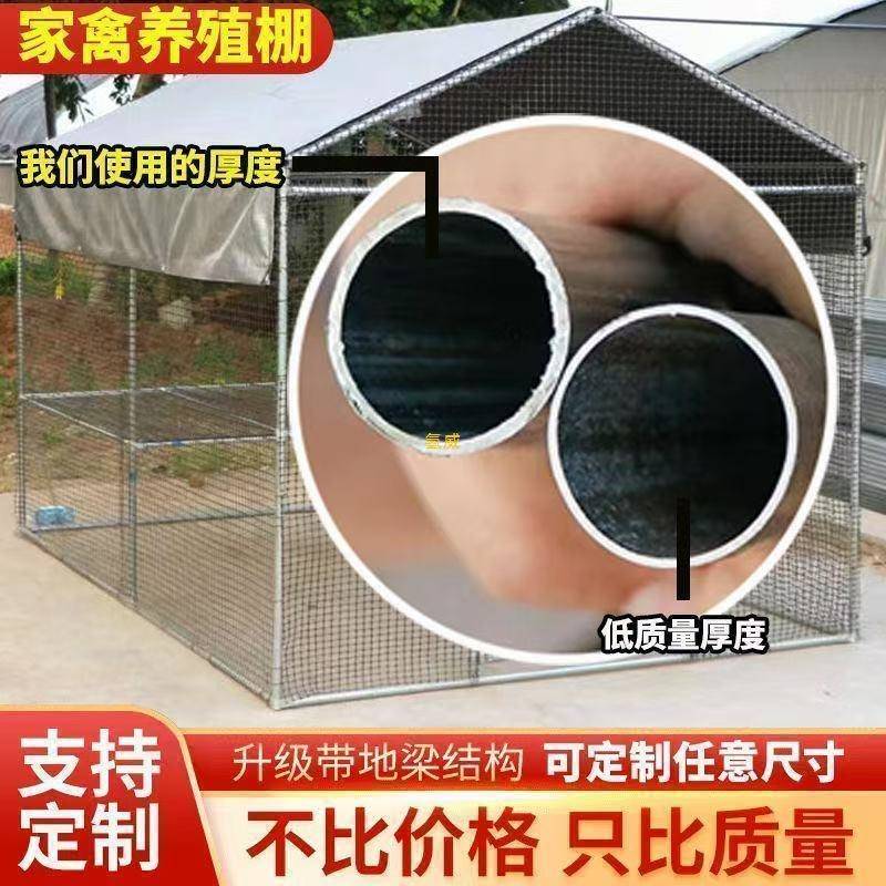 号鸡棚鸡特大户外养鸡防雨鸡笼家家禽养殖大型搭用建镀CFC舍锌加