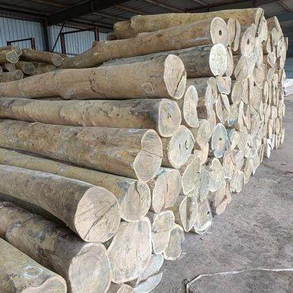 阿根紫廷绿檀泰国花梨大果檀缅甸花梨花梨木香檀绿檀绿861木料