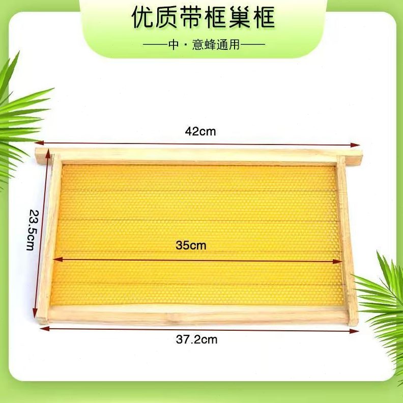 42广东木框巢蜂3养蜂工具9巢巢脾中框带巢础成品框巢专用45cm杉46