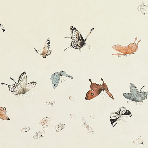 蝴蝶 手工刺绣DIY工笔画 套件苏绣 百蝶图图 初学案 装饰画自学图片