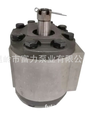 Hydraulic pump for tractor 83913537 D8NN600FA 83945584