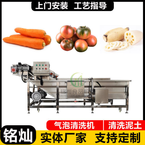 竹笋气泡清洗机 春笋芦笋喷淋式清洗设备 花生毛豆玉米清洗加工产