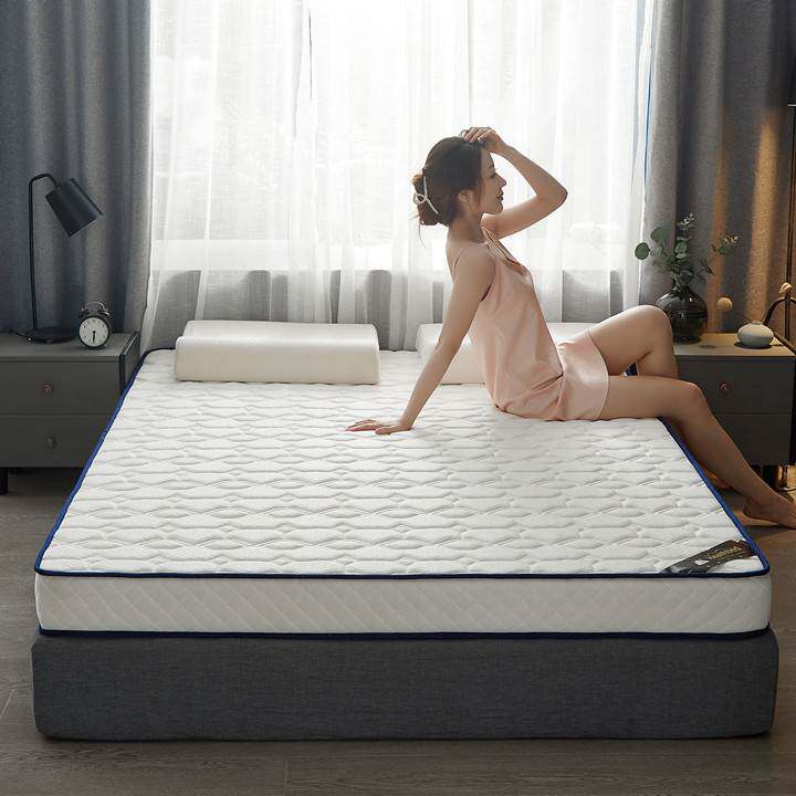 乳胶记忆棉床垫家用榻榻米垫子软垫租房宿舍薄垫单人学生加厚10cm