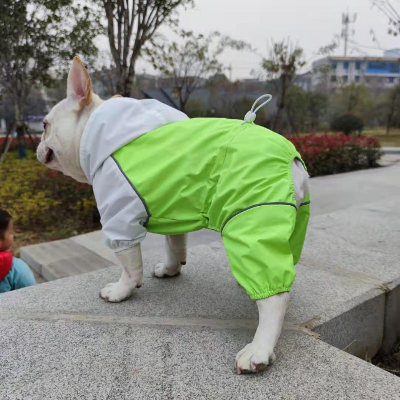 宠物连帽四脚衣纸样泰迪金毛法牛雨衣图纸中型大型犬服饰棉服模版