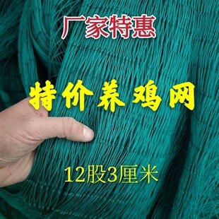 养鸡专用网塑料网格防护网小孔鸡圈围栏网农村拦鸡鸭围栏网尼龙网