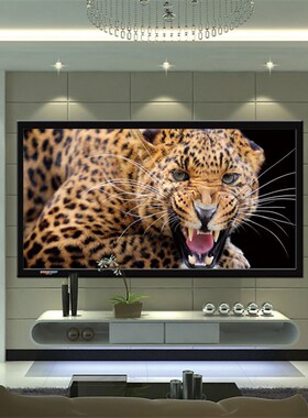 影辉E80家庭影院4K幕布 120寸画框幕 家用投影幕92-T200寸 可定制