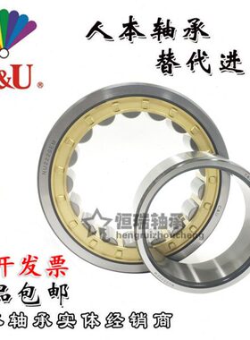 人本圆柱滚子轴承 N NJ NU NUP 2203 2204 2205 2206 2207  EM/C3