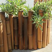 防腐竹篱笆栅栏户外日式 花园庭院矮围栏菜园花坛阳台碳化竹子隔断