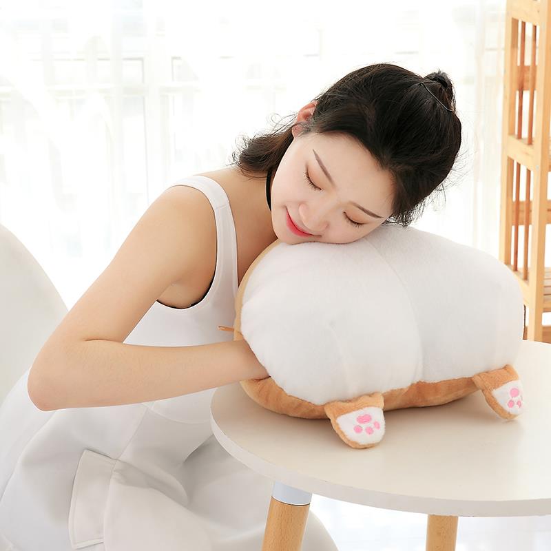 基屁股午睡枕头柯抱枕被子两合用珊瑚绒PTO腰靠枕垫空调被毯子三