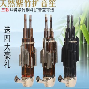 笙乐器专业演奏14簧扩音笙14簧方笙紫竹笙芦笙14苗铜斗扩音方笙