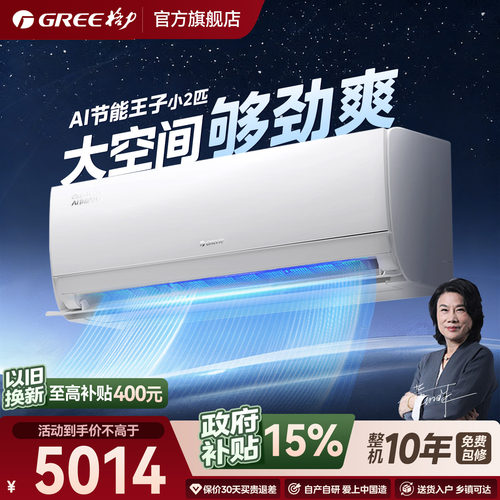 格力Ai节能王子小2匹冷暖大挂机