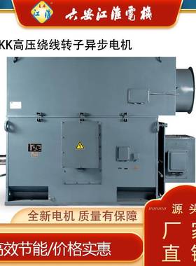 江淮10V6VYR630355千瓦6极高压绕线转子电机YRYRS高压电机