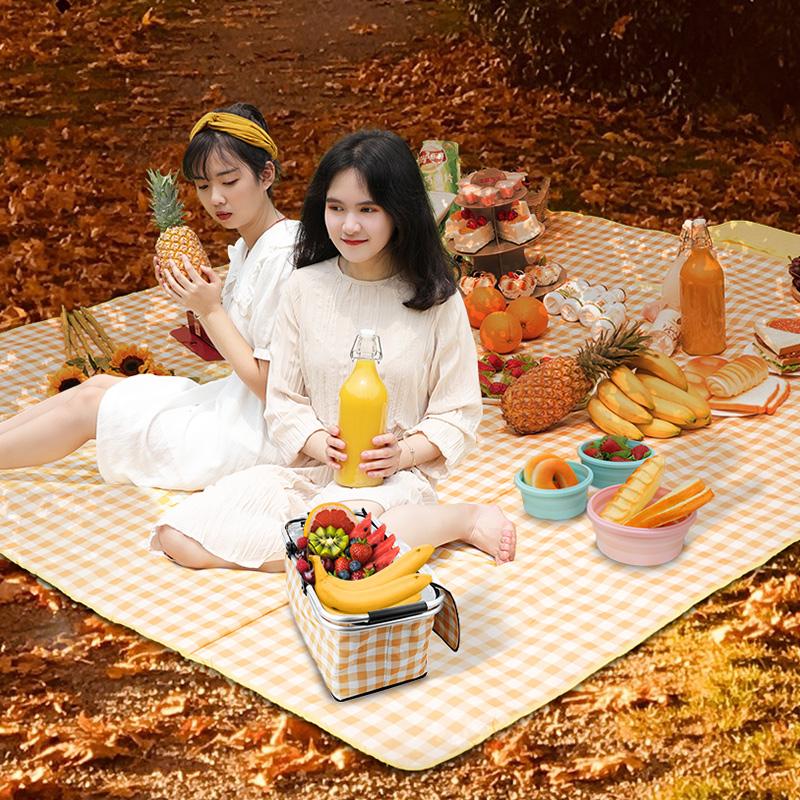 野餐垫春游防潮垫野餐布户外便携防水草野炊地垫子郊游加厚ins风