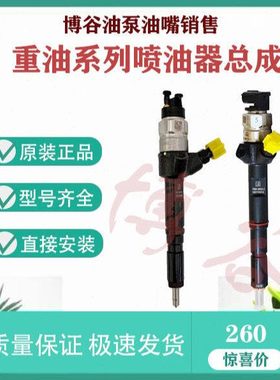 重油喷油器P091-000A/F/K/K1/CS1配云内玉柴装载机叉车喷油嘴总成
