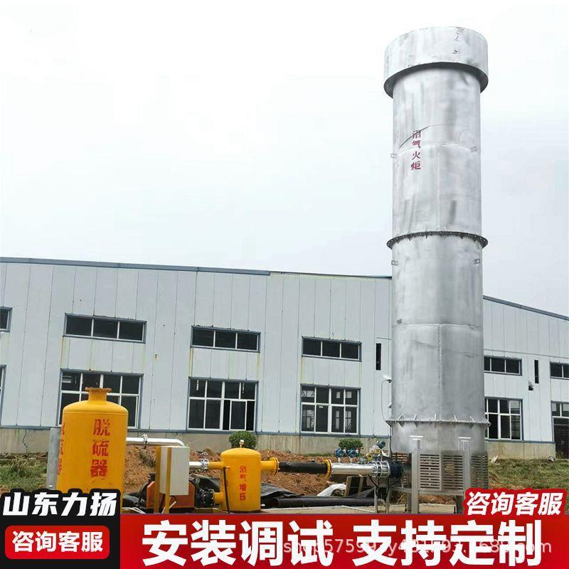 南昌市垃圾填埋场500立方内燃式沼气火炬系统自动点火燃烧装置