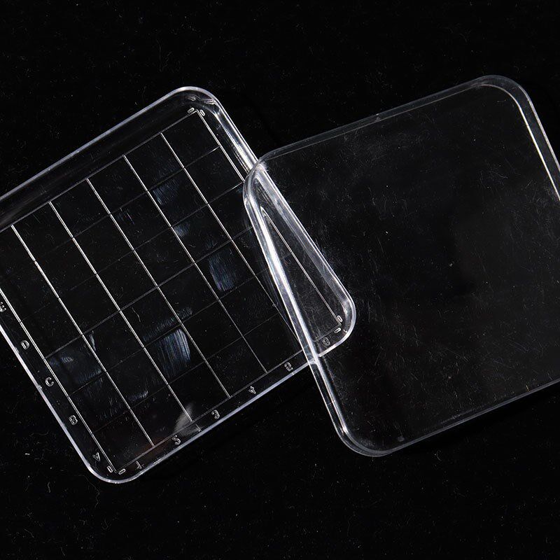 一次性塑料培养皿培养皿物理化学实验耗材规格齐全培养皿