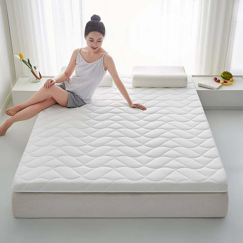 2024新款大豆纤维A类磨毛床垫单人学生宿舍垫子家用床垫床上用品