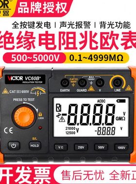 胜利VC60B+/D+E+兆欧表1000V摇表2500V绝缘电阻测试仪5000V电阻表