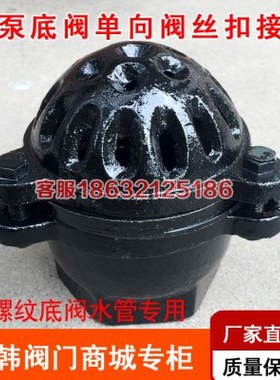 H12X-10内螺纹底阀止回阀铸铁吸水阀抽水泵底阀DN40 50 65 80 100