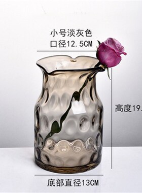 【彤昇源】玻璃水培花瓶透明玻璃花瓶 现代简约家居装饰品礼品