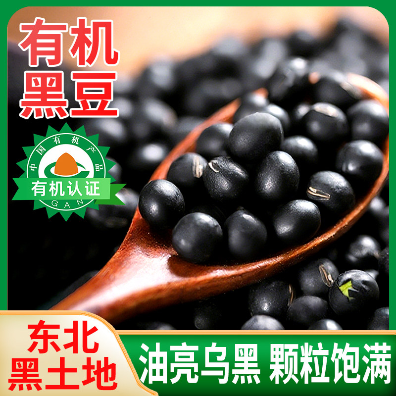 有机黑豆920g东北绿芯一级黑豆打豆浆专用新货罐装官方旗舰店正宗