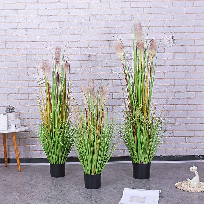 真XVZ狗尾巴芦苇绿植橱窗装仿饰植家居室仿内植物装饰品真物落地