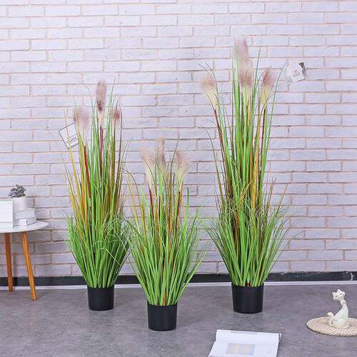 真XVZ狗尾巴芦苇绿植橱窗装仿饰植家居室仿内植物装饰品真物落地