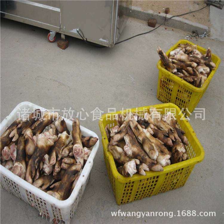 全自动毛刷猪蹄清洗机 刷猪蹄熏烤之后的黑渍 猪蹄羊蹄牛蹄清洗机