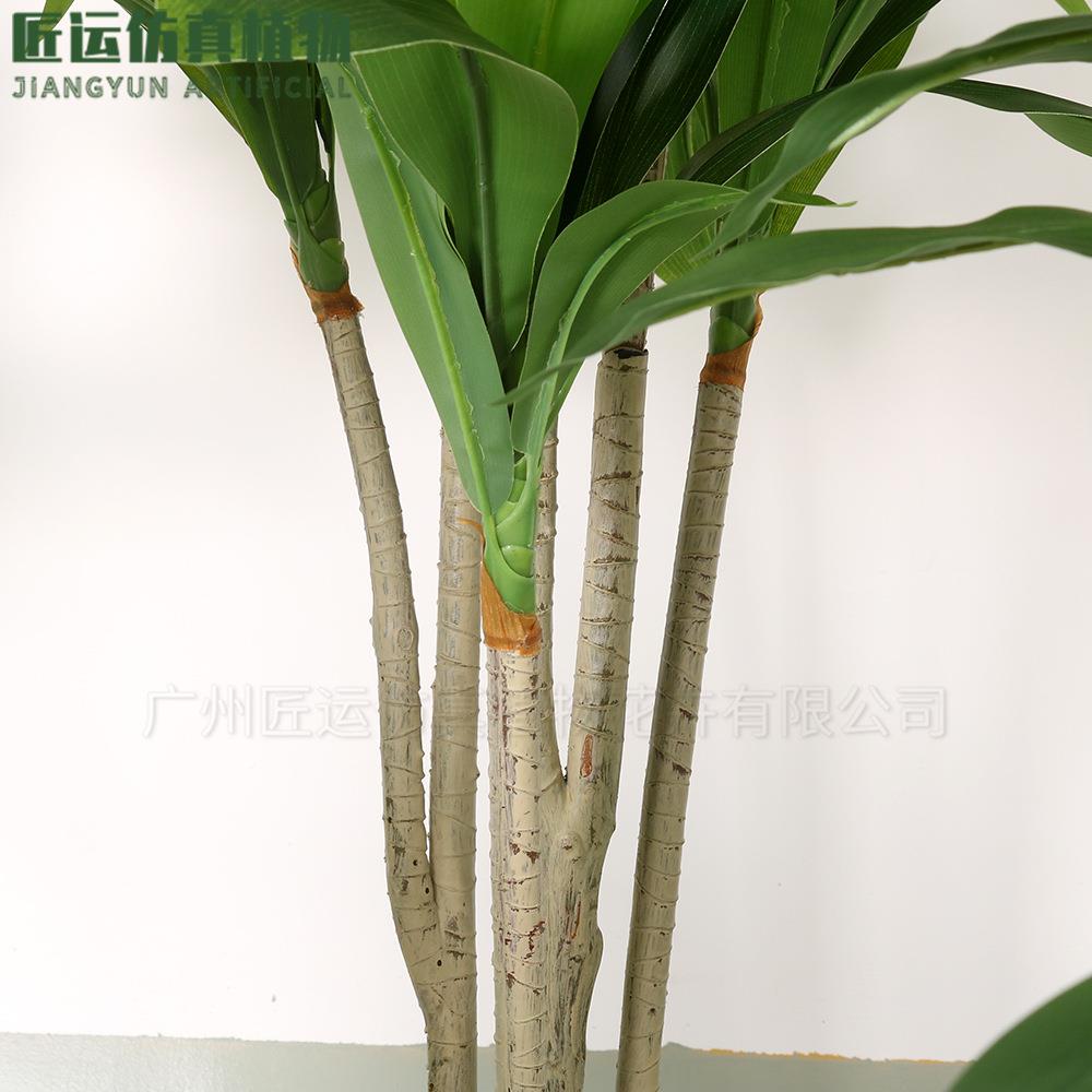 仿真巴西2022-11-铁绿植栽大型落地饰家居室内装盆仿生巴铁西树植