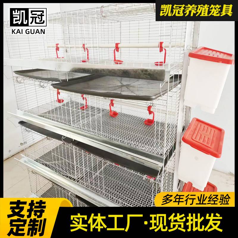 立体育雏鸡笼四层小鸡笼子小面积鸡舍养殖设备加粗加密育雏饲养笼