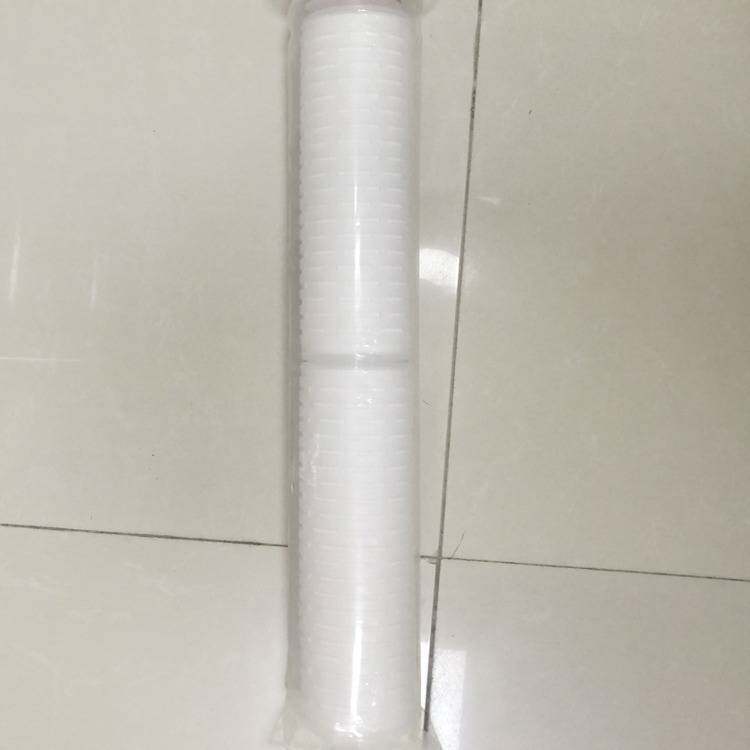 Perfume filter cartridge去离子水系统预过滤20寸聚丙烯折叠滤芯