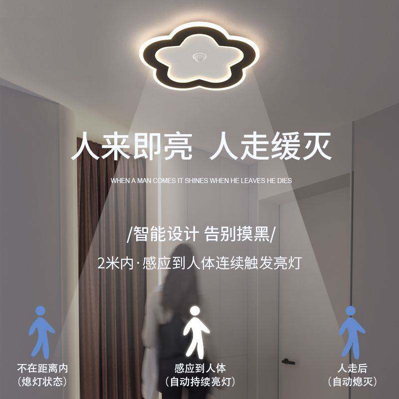 感应灯人来即亮人走即灭入户玄关夜间人体led过道灯走廊灯吸顶灯