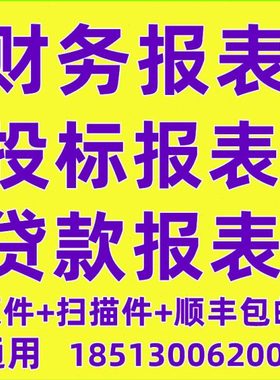 投标审计咨询财务报表年度银行报表Exce制作四表一注表格模板包邮
