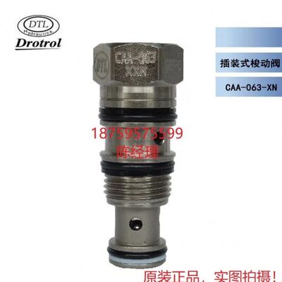 CAA-063 原装正台湾盘龙 DTL 插装阀 CAA-T11-XN 插装式梭动阀