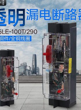 人民透明塑壳漏电断路器DZ15LE-100T 40A 63A 100A工地漏保2线3线