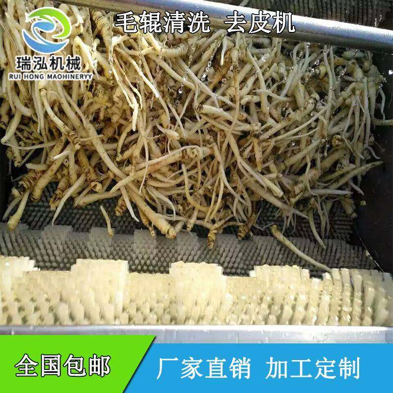 新品特价中药材去皮清洗机 芒果去皮清洗一体机 天麻清洗机