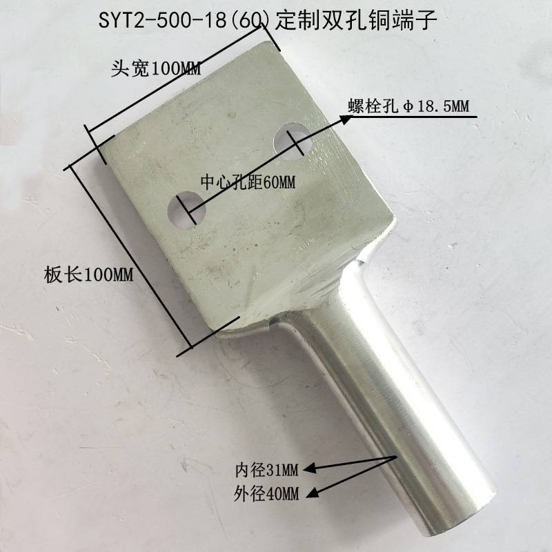 双孔铜鼻子 贰眼铜端子 多孔接头定置 平板铜线耳SYT2-500-18(60)
