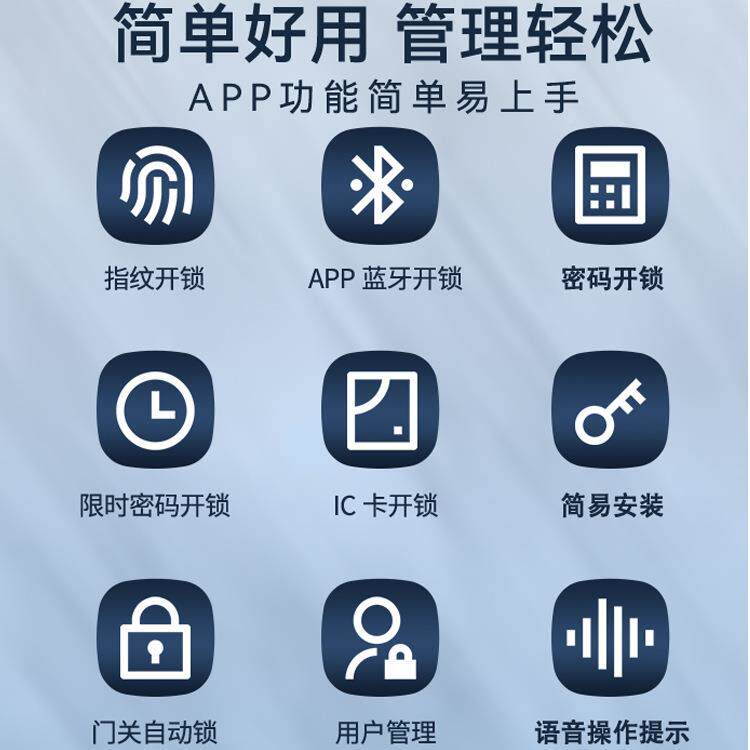 APP指纹门储物锁柜桑拿锁抽屉柜指锁DSL300家用密码门办公纹室铁