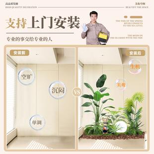 仿真造景绿植类景室内拐角楼梯下阳台植景造观树装饰仿蕨生绿造景