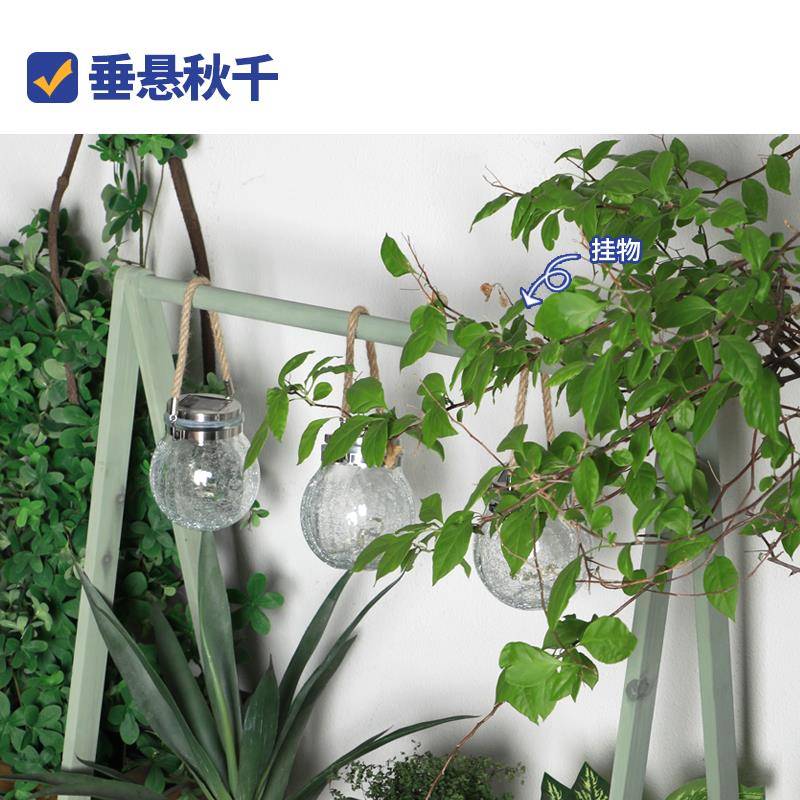 5物V吊兰花架置架阳台多肉花架子梯式幼阶园植物儿角架QQ001子室