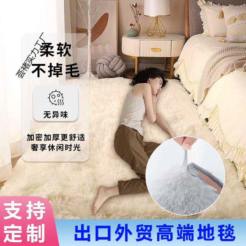 加厚地毯卧室少女耐脏客厅网红床边毛毯门垫飘窗垫子地垫房间满铺