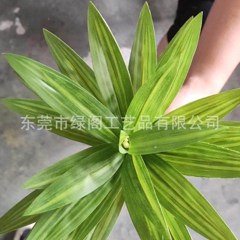 真仿真百合绿百植合竹家居装仿饰室内件假盆栽生植物加密轻摆奢百