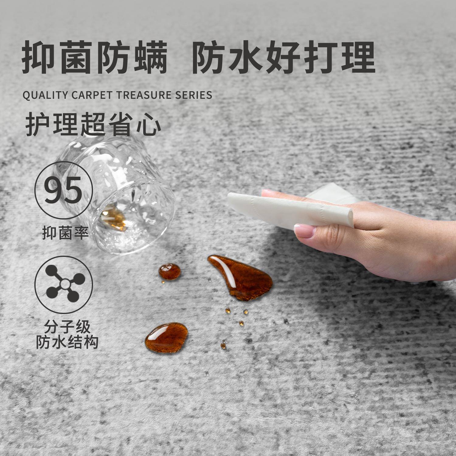 意式毯轻奢地客厅免洗可Sfyr2025擦大面全铺地防水毯防污沙发积地