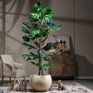 植物阔叶龟背竹假树盆栽室内客厅绿植装饰造景摆件客厅装饰绿植
