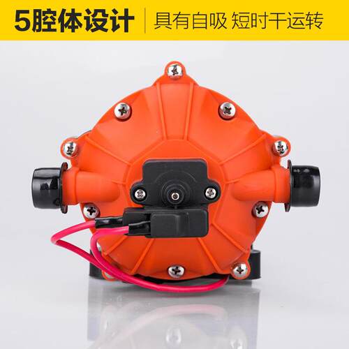 seafo12v24v游直流隔吸膜泵房车泵艇游船泵洗车l泵SFDP1-05增压泵自泵