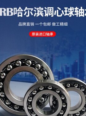 哈尔滨调心球轴承 2305 2306 2307 2308 2309 2310 ATN AKTN 轴承